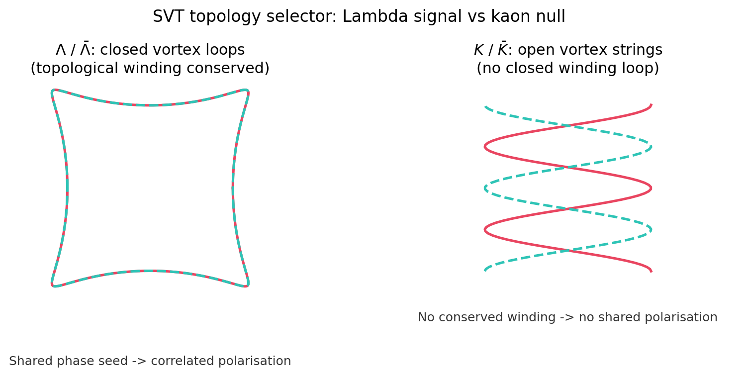sim_44_braid_topology.png