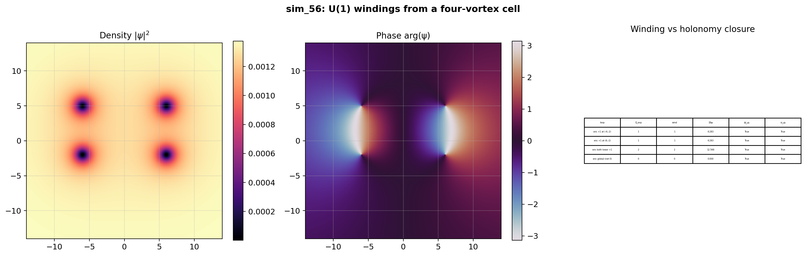 sim_56_vortex_holonomy.png